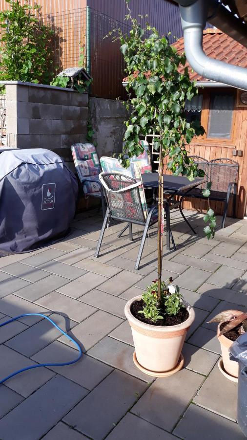 Apartman U Potoka Sadov ภายนอก รูปภาพ
